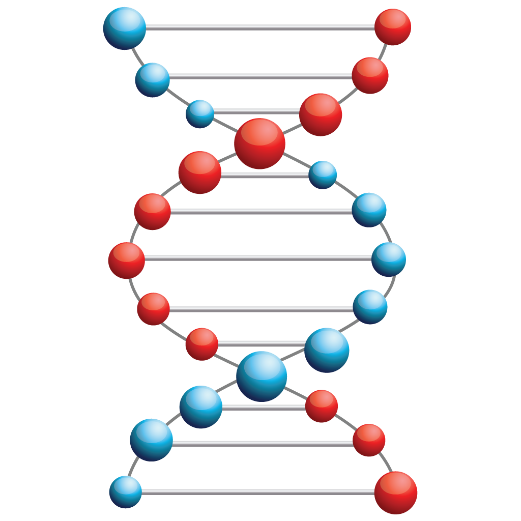 Memmia Generation of transgenic mice